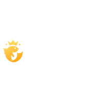 Joo Casino